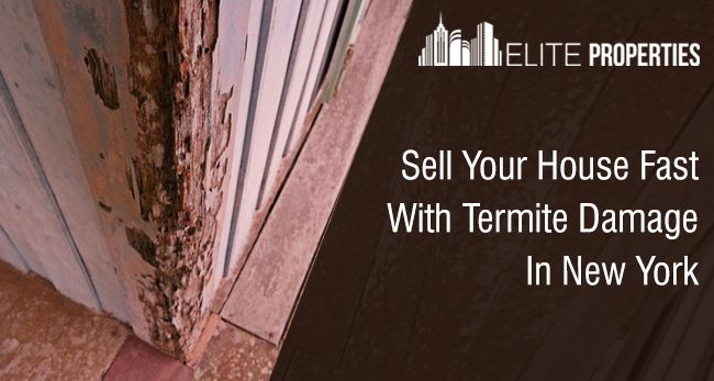 Sell Your House Fast With Termite Damage In New York